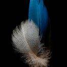 一世长宁（黄美蓉）