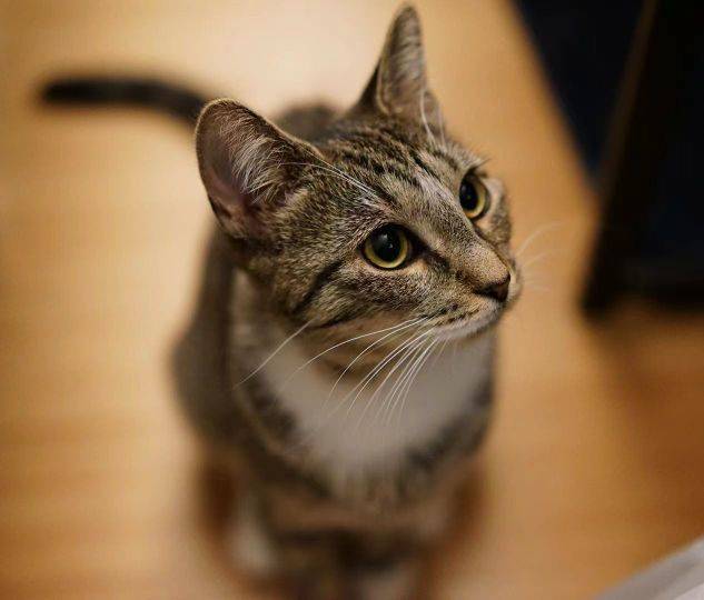 觅友_爸爸坚持住