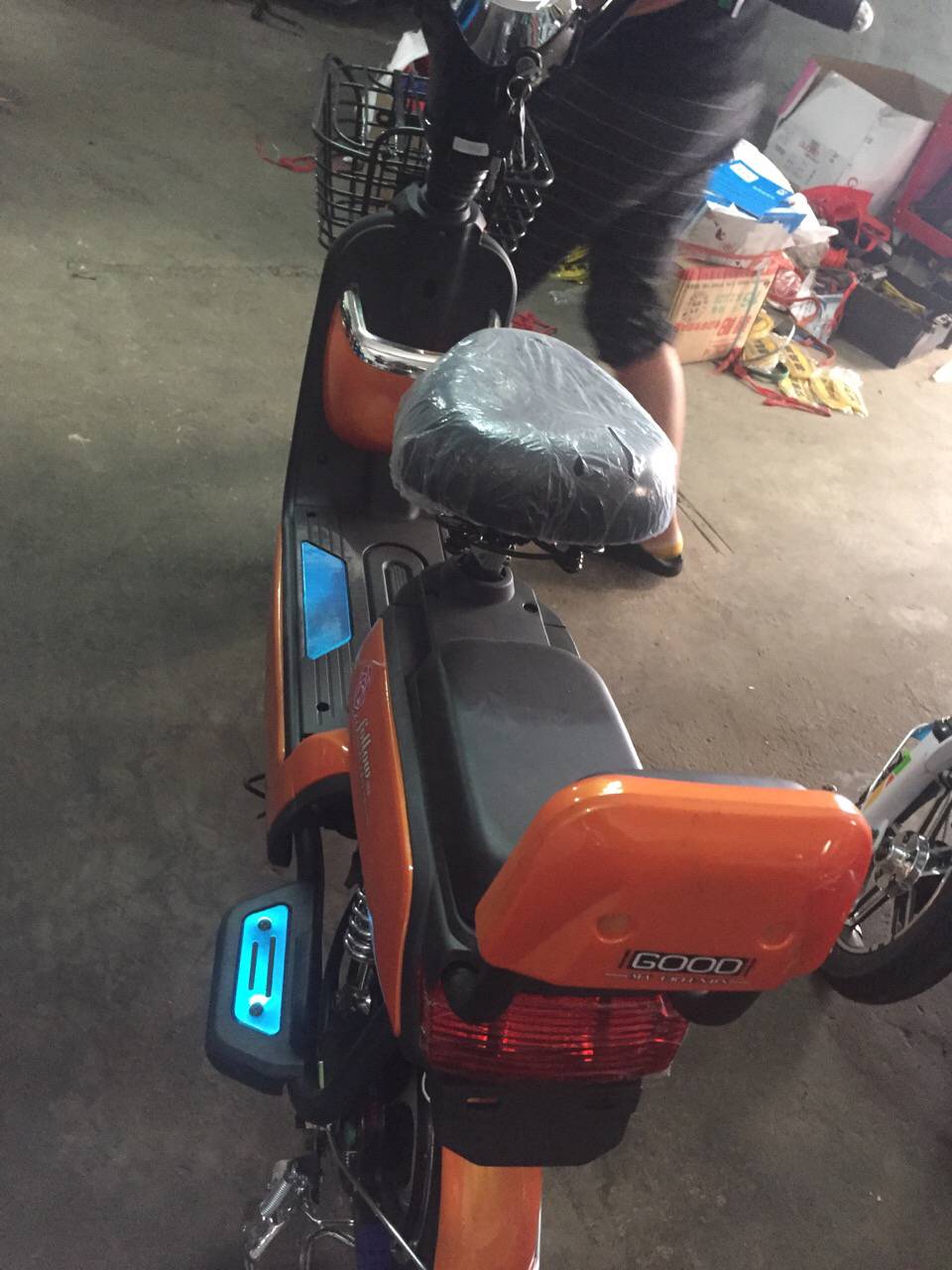 树林大了什么鸟都有