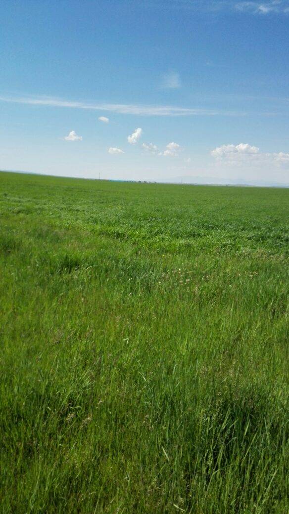 不打扰是我的温柔1971102雯雯