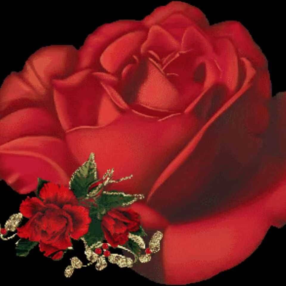 阳光下漫步幸福