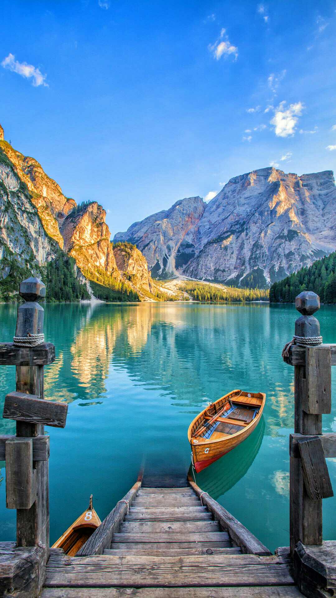 断翅的蝴蝶还有梦