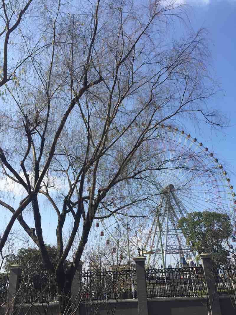 淡淡茉莉香加油