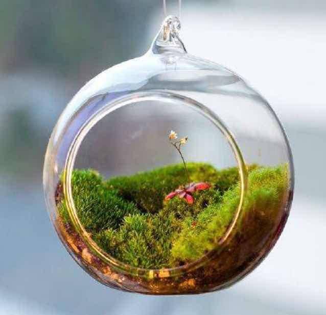 每天开心a b c