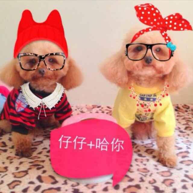   爽姥姥 8999