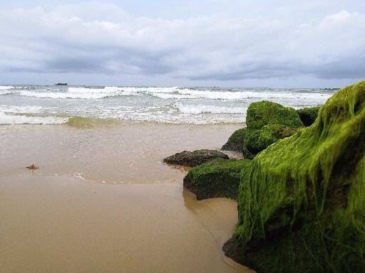 天天向好（家属）