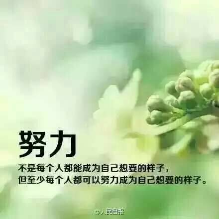 《 紫风 》。。。