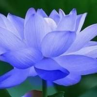 （妍）觅友_n84s97799