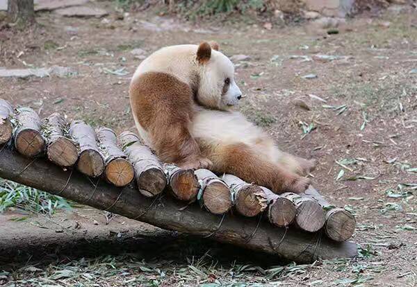 我要我的英雄好好的