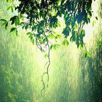 wx_3770985089