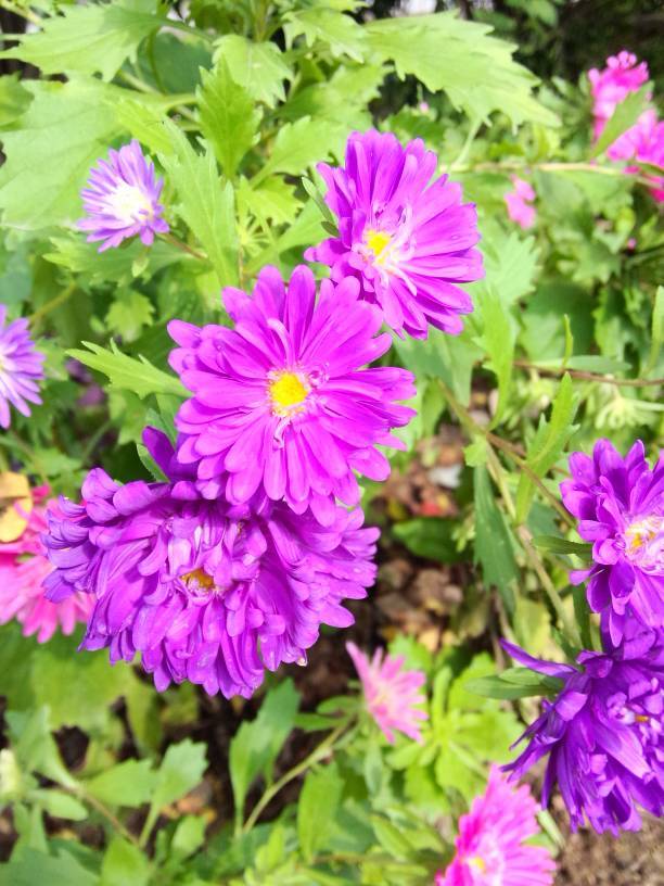 我们都要幸福の