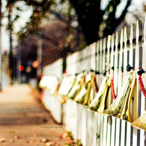 爱的起，伤不起–