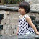 活力仙人掌冬梅