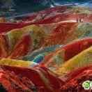 大豆.张掖招商局郑月萍