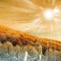 wx_2134139585