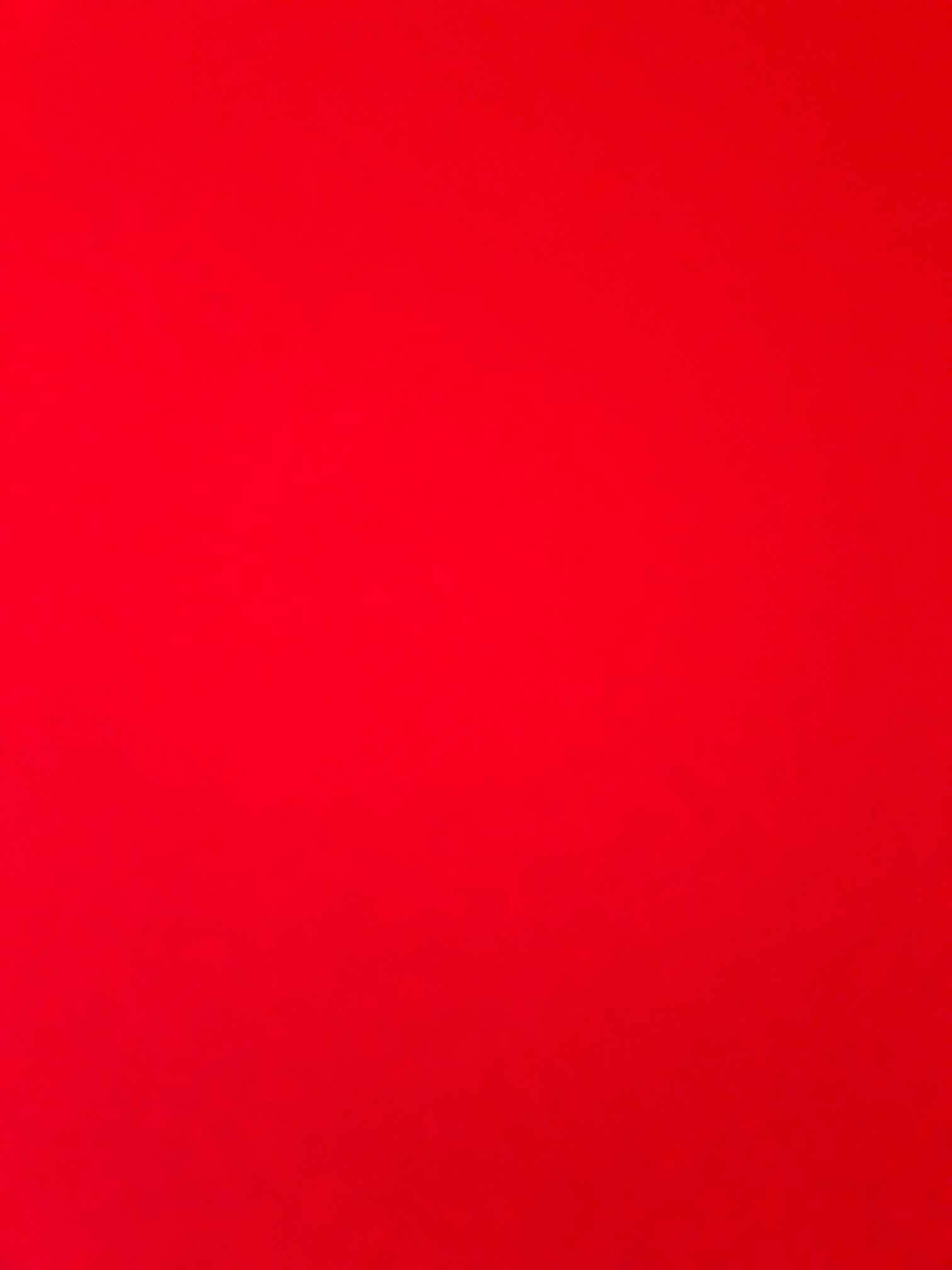 坚持就是胜利2019