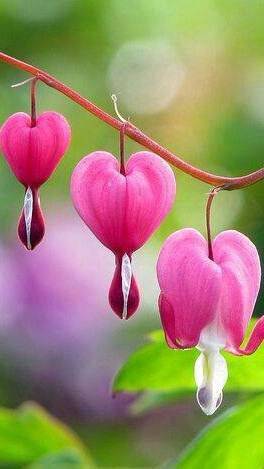 健康快乐每一天