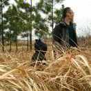 邵奇宝（Bobe.shao）