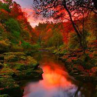 wx_7091672514