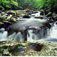 wx_5654604733