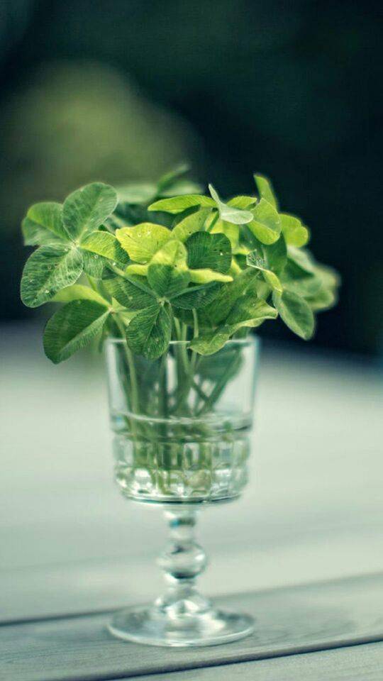 救救我爸吧！求您了