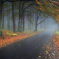 wx_1933927238