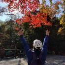 对抗小细胞肺癌