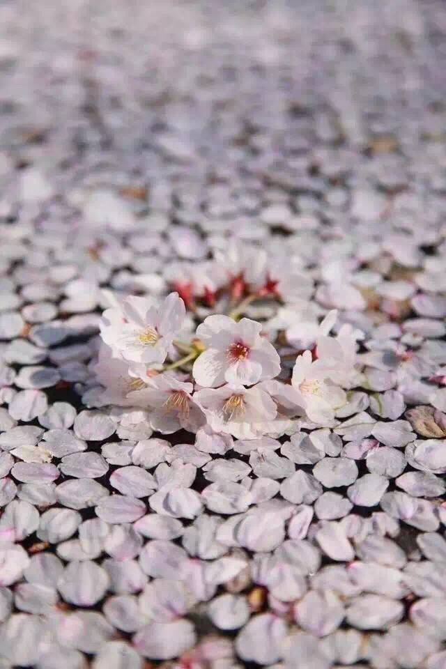 y d y f h g