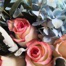 蓝绣球与爱莎玫瑰