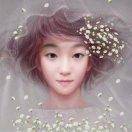 暮夜&amp;樱花雨