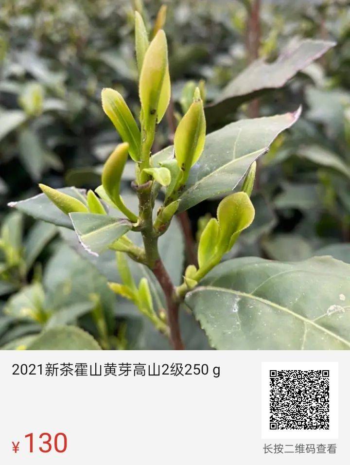 希望满满，加油妈妈