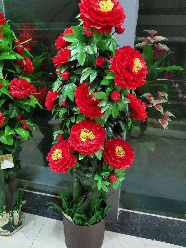 早晨的太阳☀️