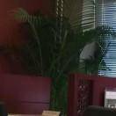 那是什么(陈刚)