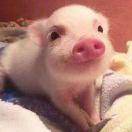 幸福快乐每一天9139