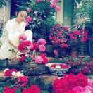 ꧁꫞꯭summer꯭꫞꧂