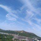 和谐张  小细泡肺癌