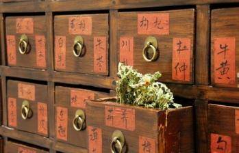 神经性耳鸣耳聋之生髓健耳汤