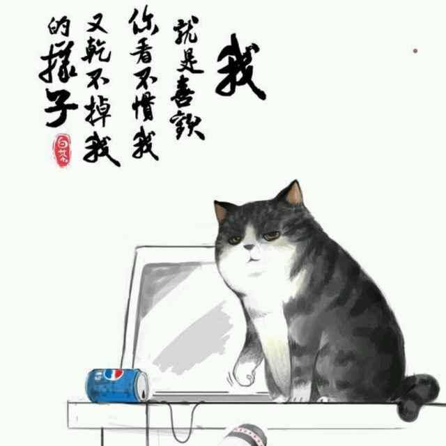 放风筝的猫1998
