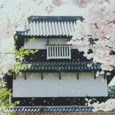 向前走，或者继续等等