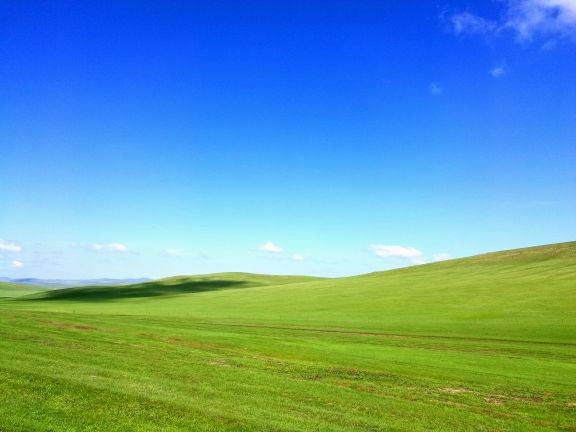 积极向上 靠近阳光