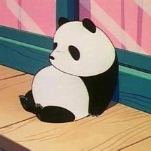 你家的菜园子真漂亮