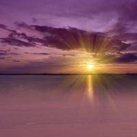 wx_1075361838