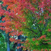 wx_7410398275