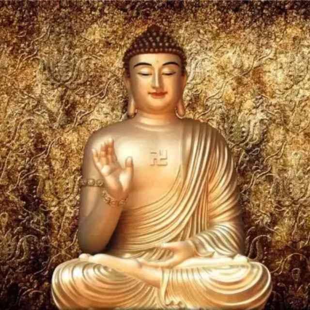 风雨  摘