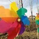 愉快的开心果8061