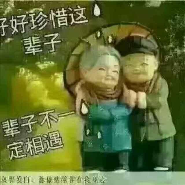 蝶恋椛
