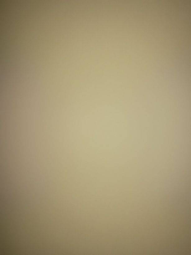 爱吃豆腐的萝卜