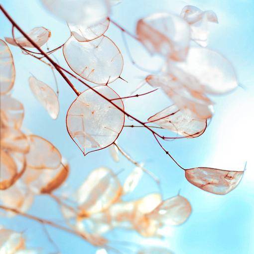 坚强到让你心疼+=