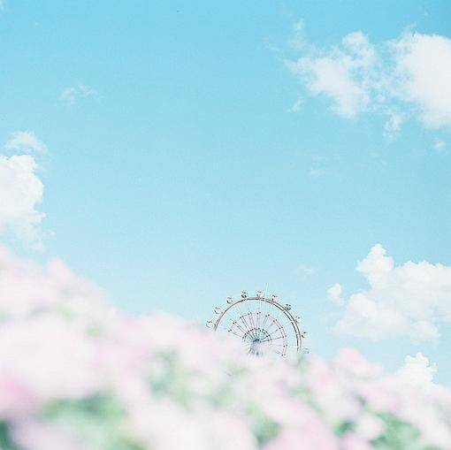 你的泪々凉了我的心