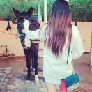 A-     橙子姐姐